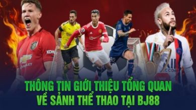 BJ88 Sports – Exciting Betting Playground for Enthusiastic Members