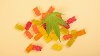 Doctors Won’t Tell You This… But CBD Gummies Might Help in Pain