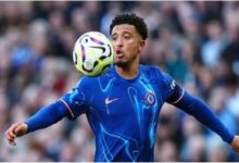 Footballer Jadon Sancho: The promising young talent of world football