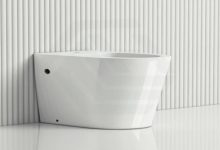 Should You Choose a Japanese Toilet?