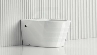Should You Choose a Japanese Toilet?