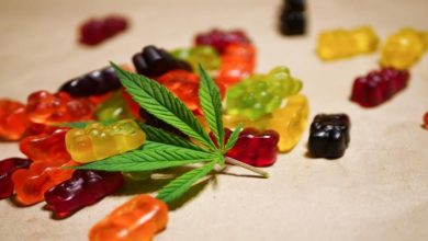 Using Delta 8 Gummies for Menstrual Cramps: What You Need to Know