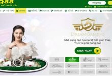 What is QQ88? A Complete Beginner’s Guide to Asia’s Popular Betting Platform