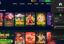 Zbet card game - Unique betting experience from cards