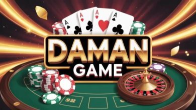 Beginner-Friendly Daman Game Login Tips