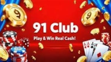 Your Daily Dose of Excitement – 91 Club