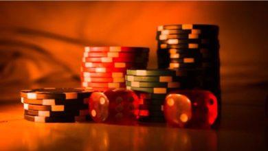Explore Diverse Casino Gameplay Mechanics Tailored to Every Playstyle