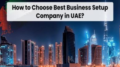 How I chose the best business setup company in UAE: My real experience & honest journey