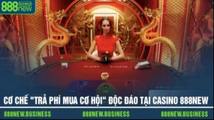 Safe and Trusted Online Casino Games on 888new for New and Experienced Players