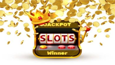 Step Into A Wild Winning Adventure With BANDIT4D!