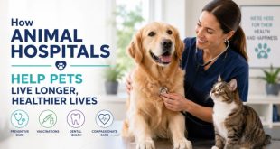 How Animal Hospitals Help Pets Live Longer, Healthier Lives