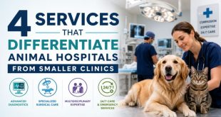 4 Services That Differentiate Animal Hospitals From Smaller Clinics