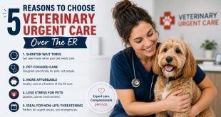 5 Reasons To Choose Veterinary Urgent Care Over The ER