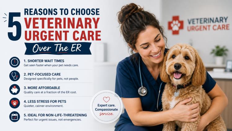 5 Reasons To Choose Veterinary Urgent Care Over The ER