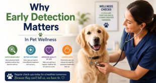 Why Early Detection Matters In Pet Wellness