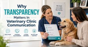 Why Transparency Matters In Veterinary Clinic Communication
